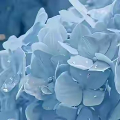 一院秋声，一窗月，蝉鸣渐歇，叶铺阶。归期未卜，雁字先斜，谁的书信，墨染半生牵挂。