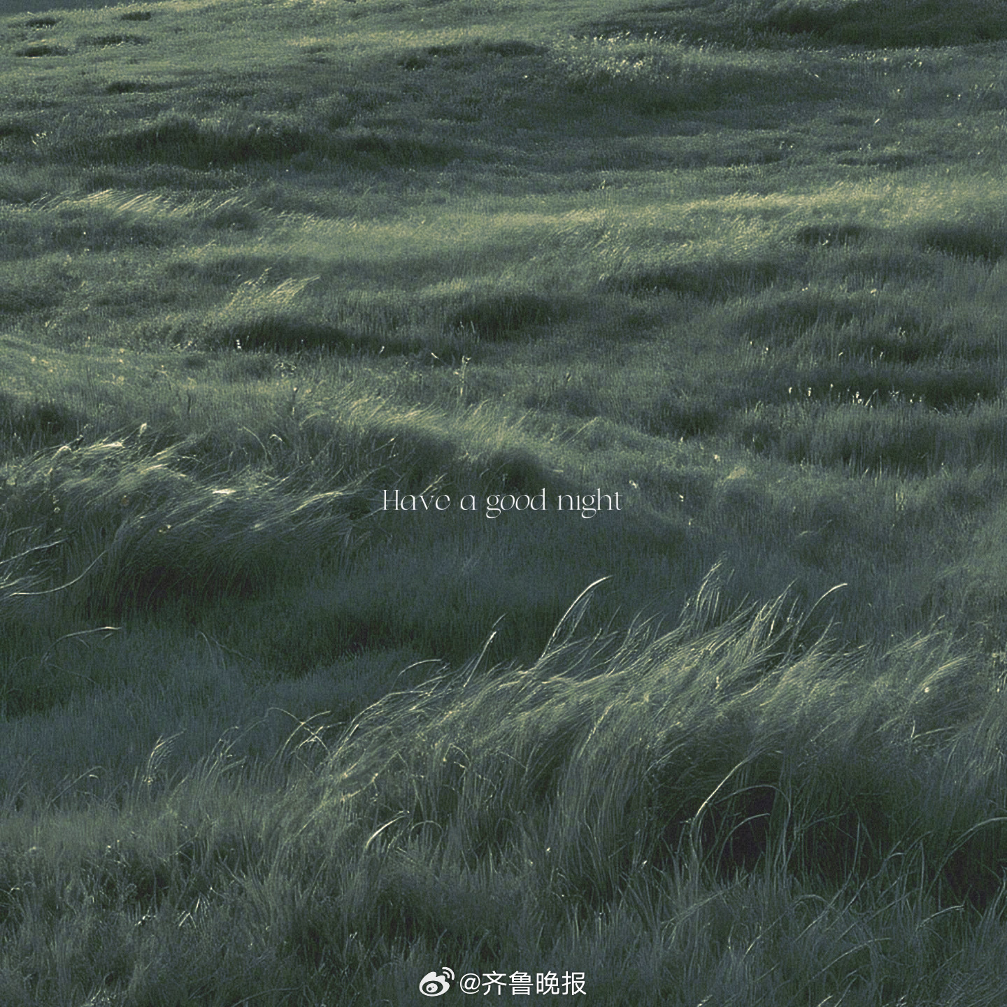 你是你自己的无边旷野#晚安#