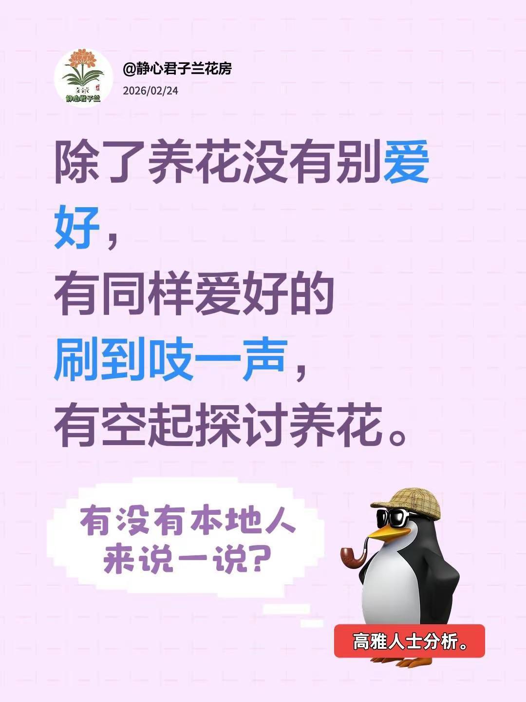 除了养花没有别爱好，有同样爱好的刷到吱一声，有空起探讨养花。