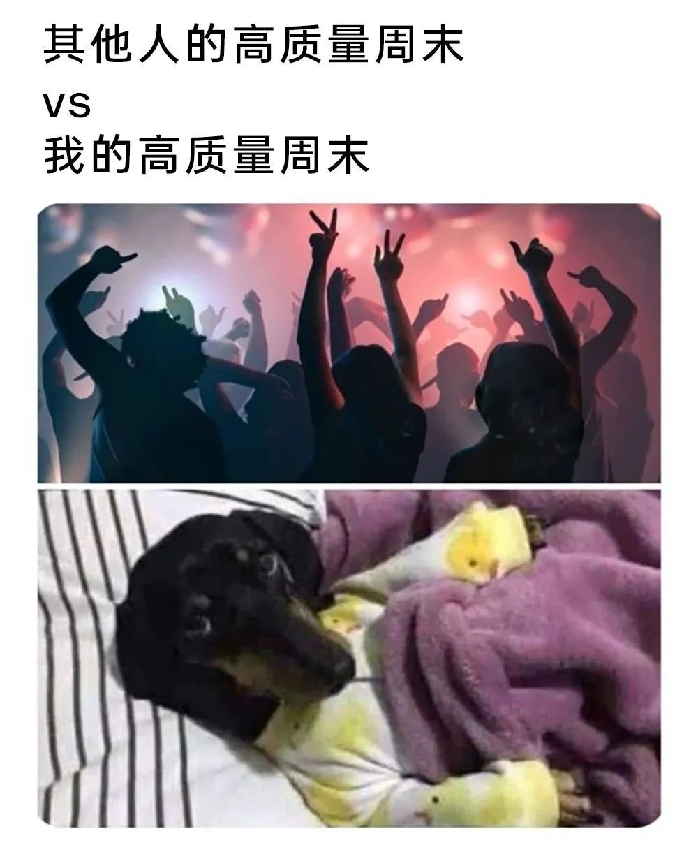 上班久了才发现，成年人的梦想都很朴素：不上班打工人精神状态大赏 ​​​