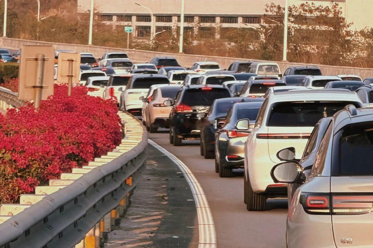 车流量连创新高！网友：福建高速满屏都是江沪浙牌…

2月21日（大年初五）福建高