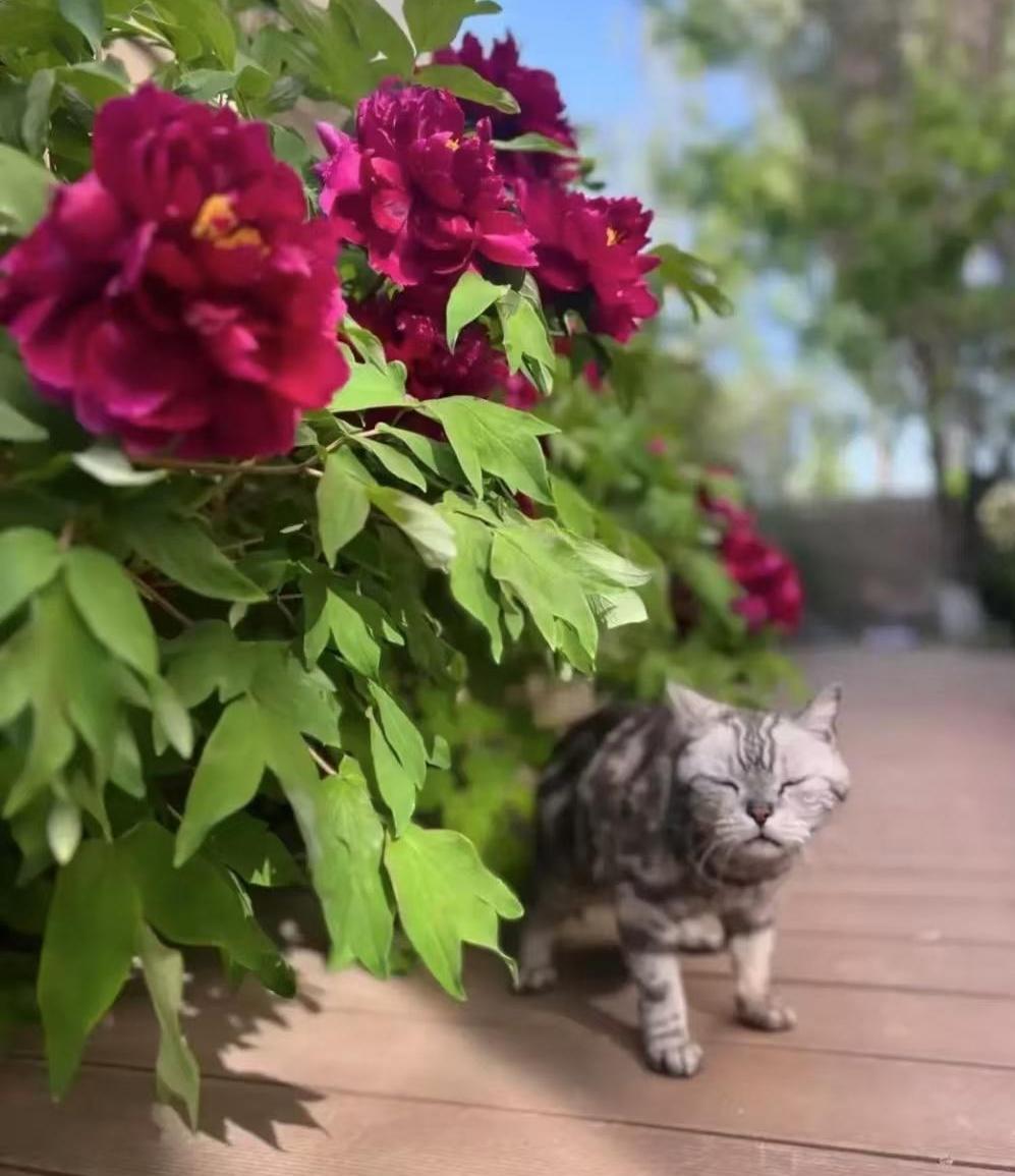 哪怕收益微薄，也是对自己付出努力的直接肯定。