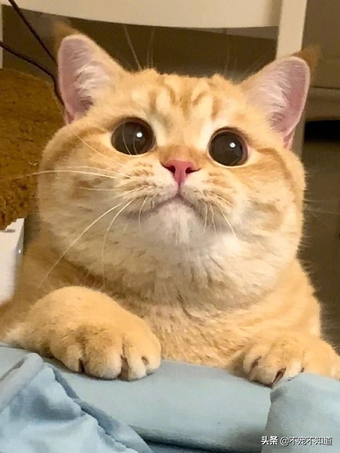 想吃好吃的VS吃完后！