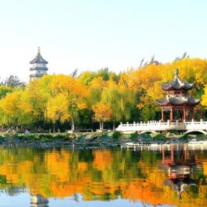 在阳光灿烂的岁月里