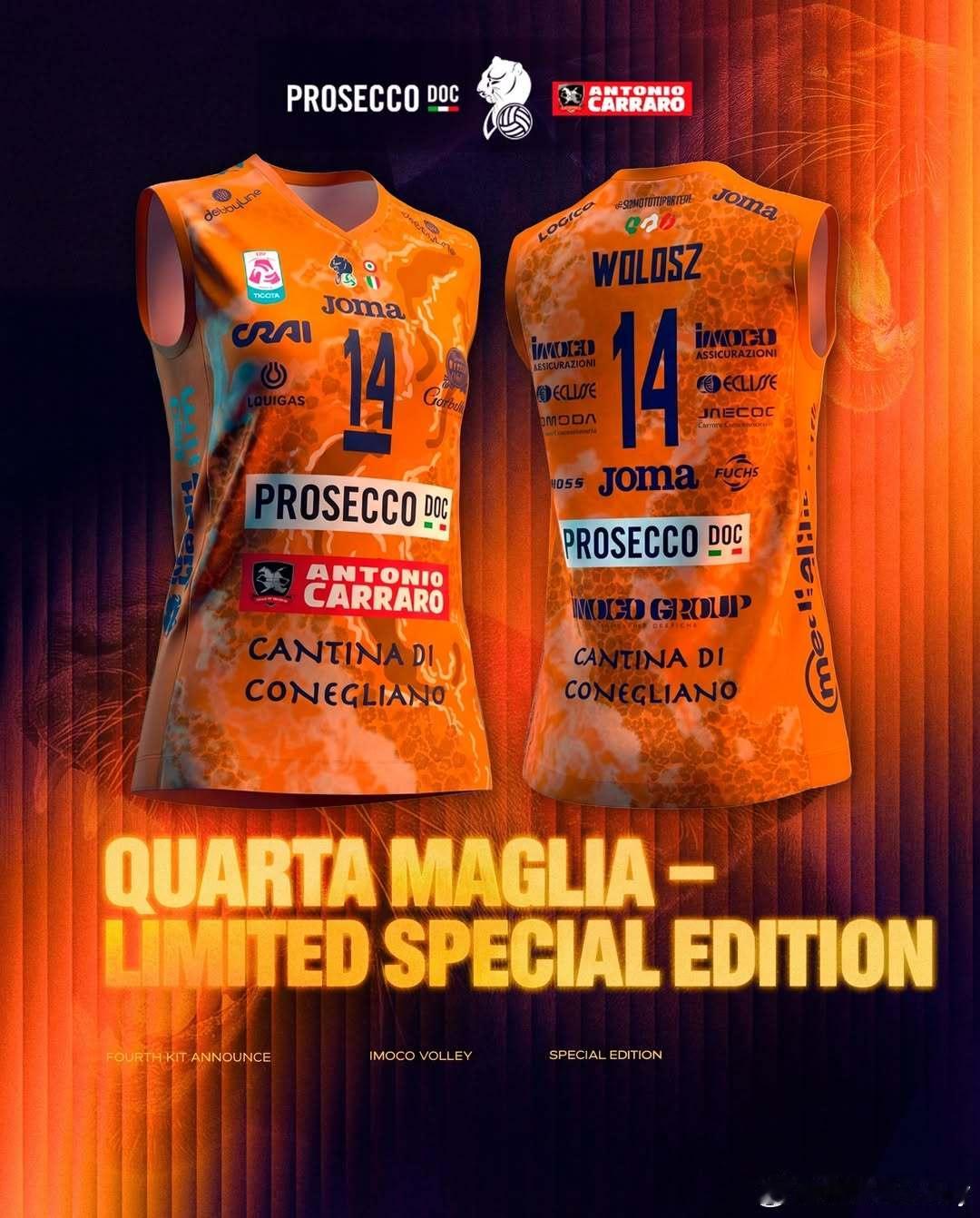 橘色战袍，这也是科内冬季战袍（每个季节一件），而且是限量特别版，挺好看的。朱婷意