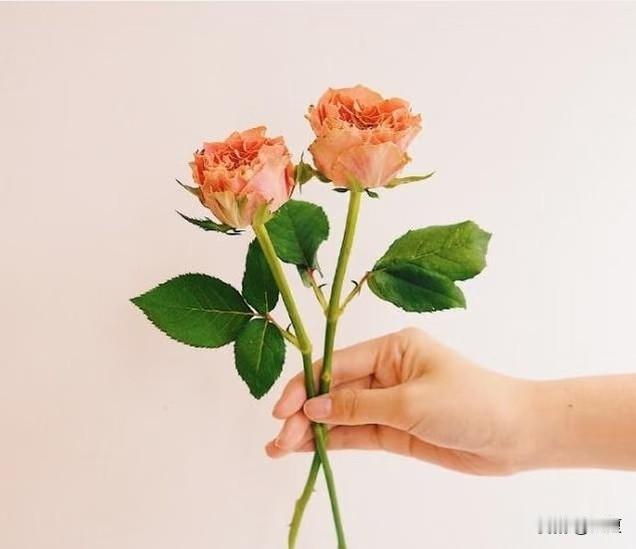 生活不是为了赶路，
而是为了感受路。‌‌
 活在当下就好，
不要预支明天的烦恼。