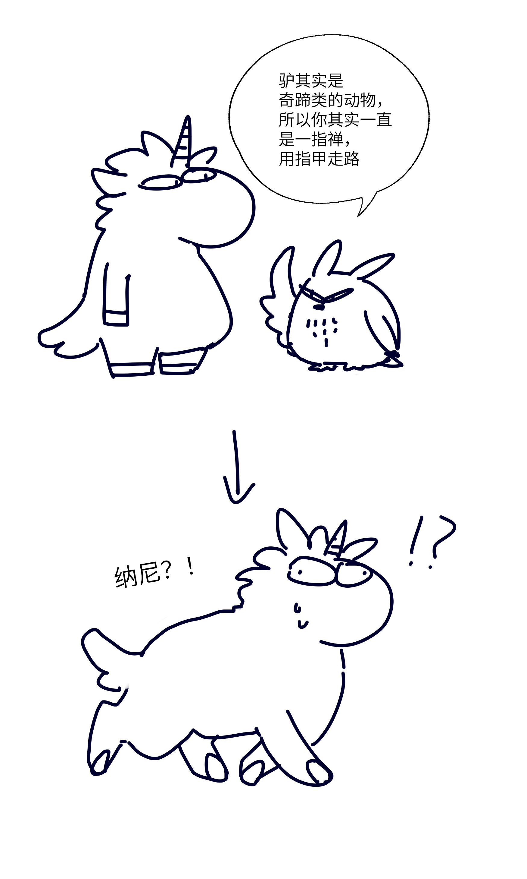 二大师说关于驴的小常识 