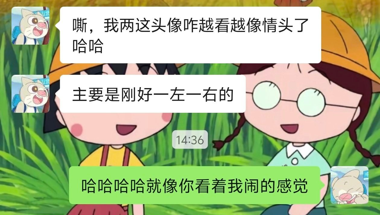 猪喵咪的情头🈶！！！ 