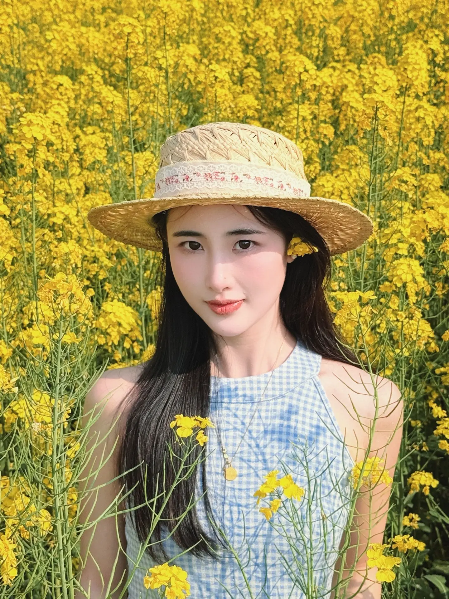 故事的小黄花 油菜花的季节 与春天相拥