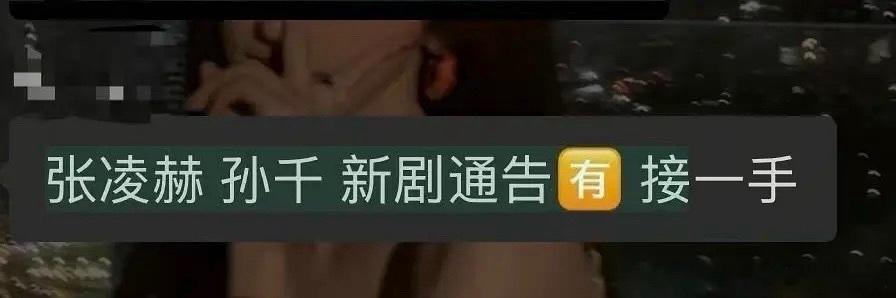 刺棠女主换成孙千刷到孙千出演《刺棠》女主的相关讨论，不少人开始分析二者适配度，只