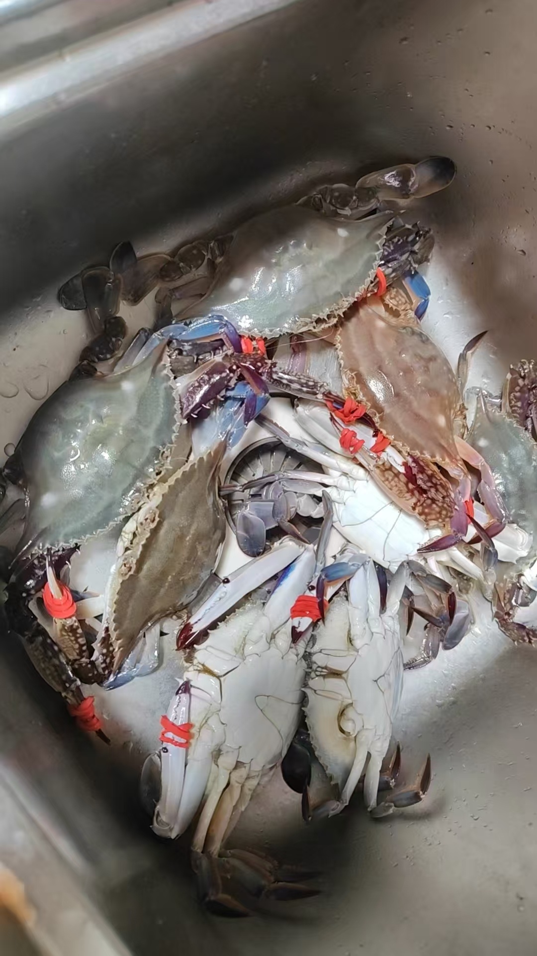 请大家吃个香辣蟹吧冰泪淑芬 香辣蟹 ​​​