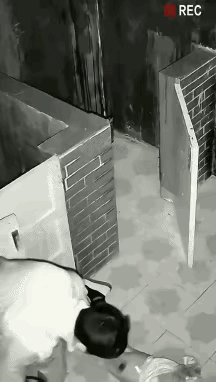 哦豁，
就这一下，
很痛。