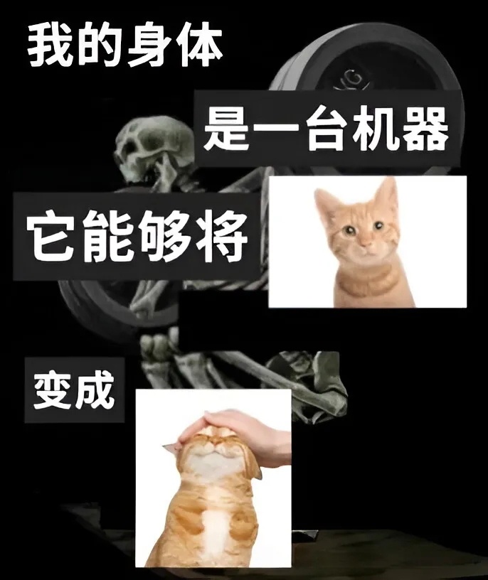 分享图片 ​​​