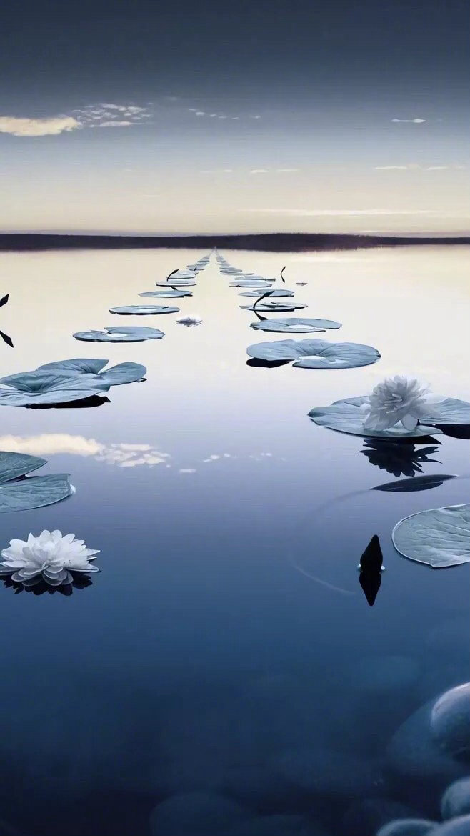 每一种道理都有各种各样的角度，所以会有各种各样的解释。特别有趣的是：同样的一个道