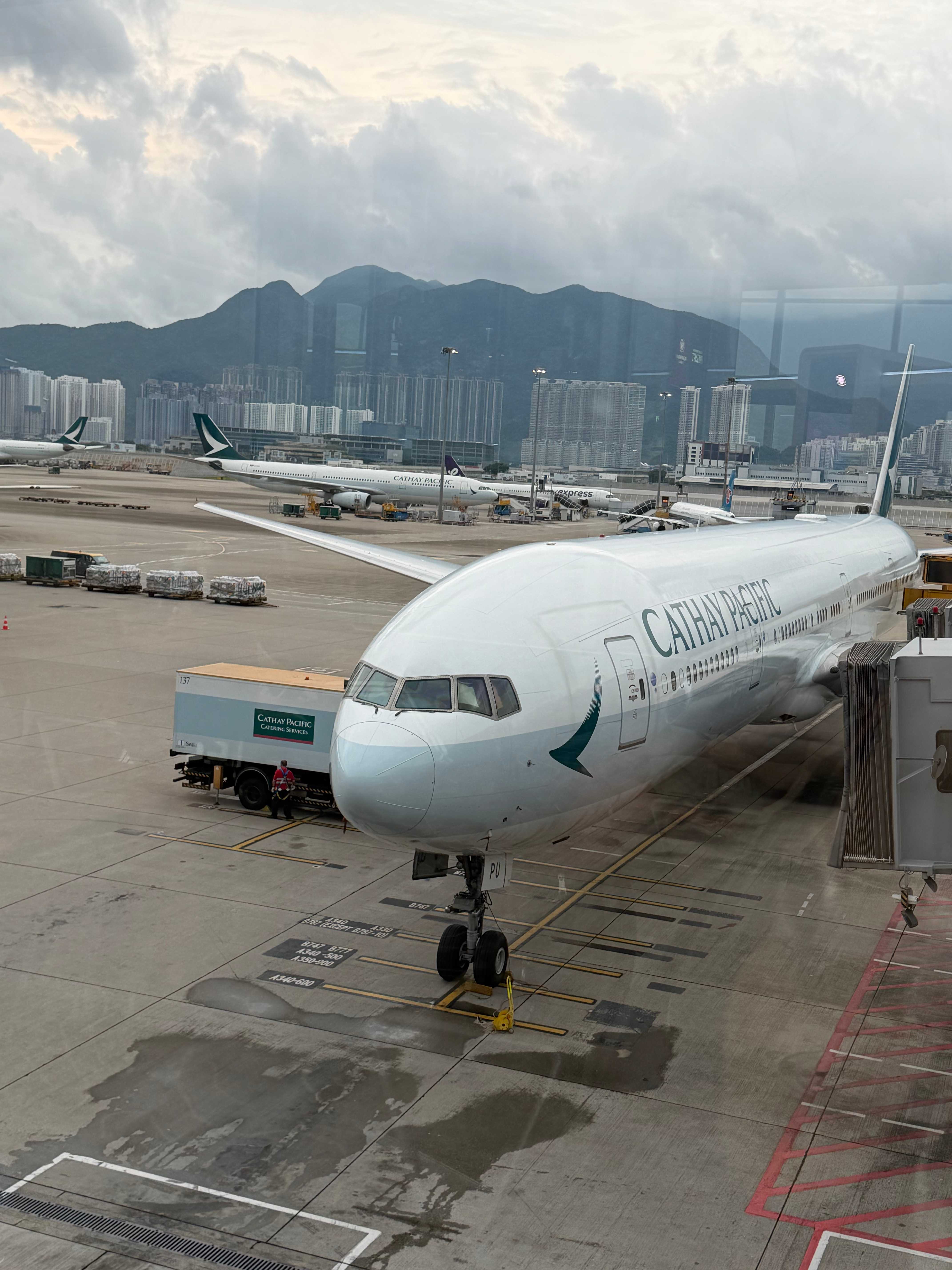 Goodbye 香港! 雖然只是短暫相聚5天， 帶孩子們與必須見上一面的親人會面