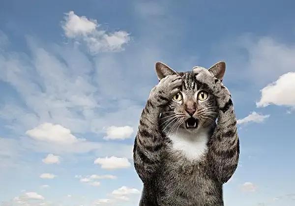 小小一片云，落雨分千里…

       美国俄亥俄州有一座地理位置独特的房子。