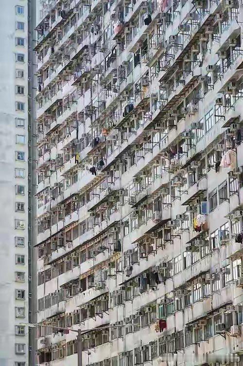 香港人为啥宁愿挤几平米鸽子笼，吃喝拉撒全在小空间里将就，也不肯来内地生活？ 很多