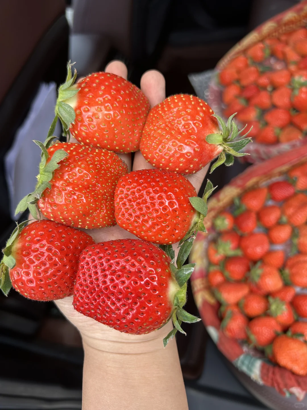 草莓不稀奇，稀奇的是纯甜🍓