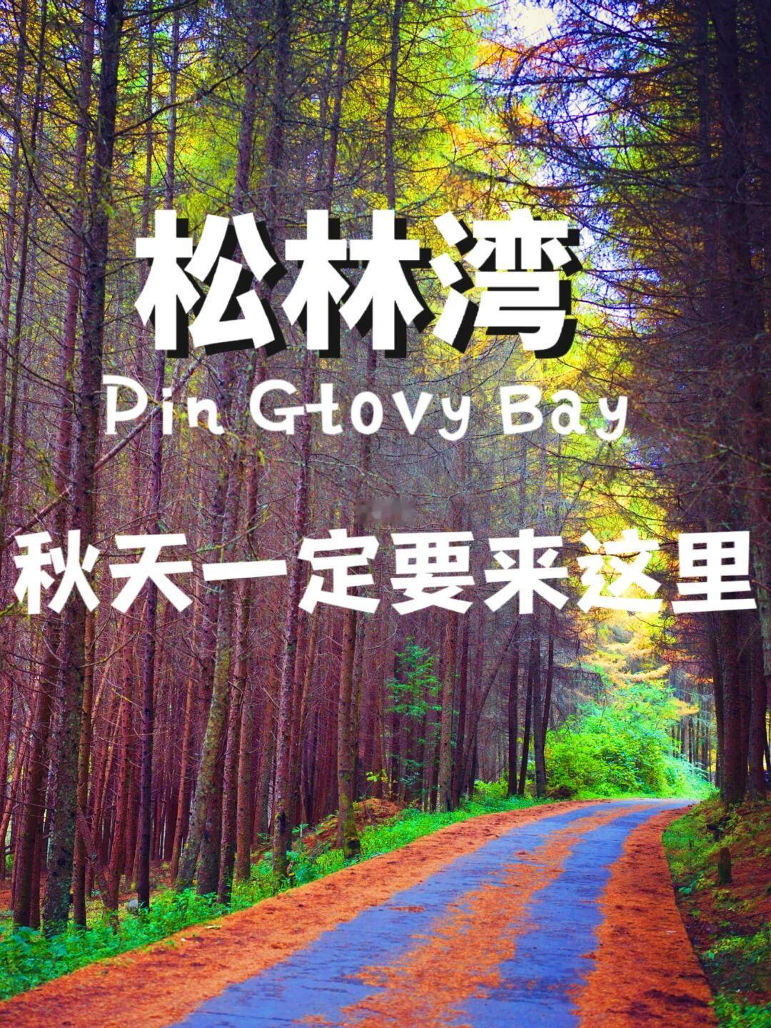 松林湾｜秋天的第一次徒步可以来这里