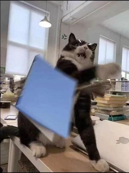 ⠀ 