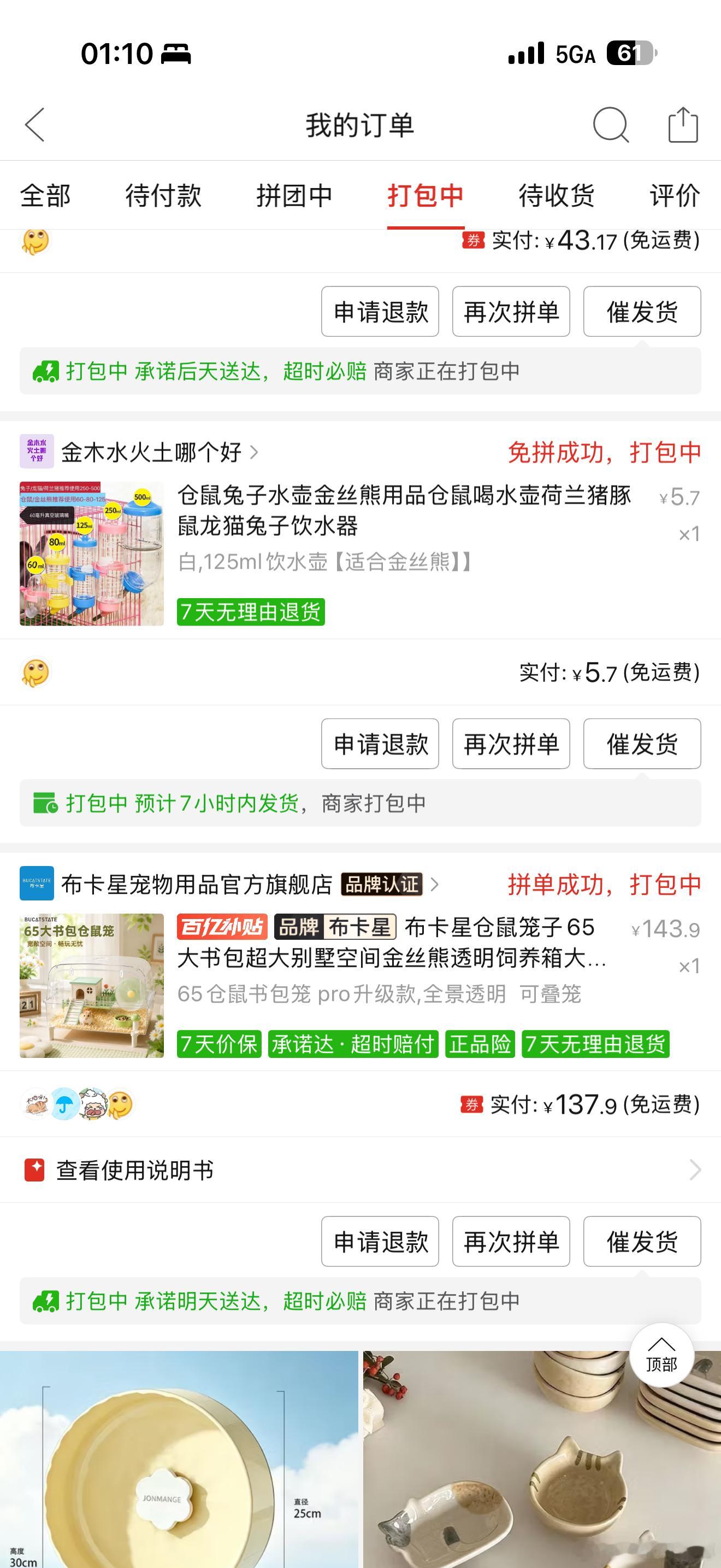 给大米买的装备 