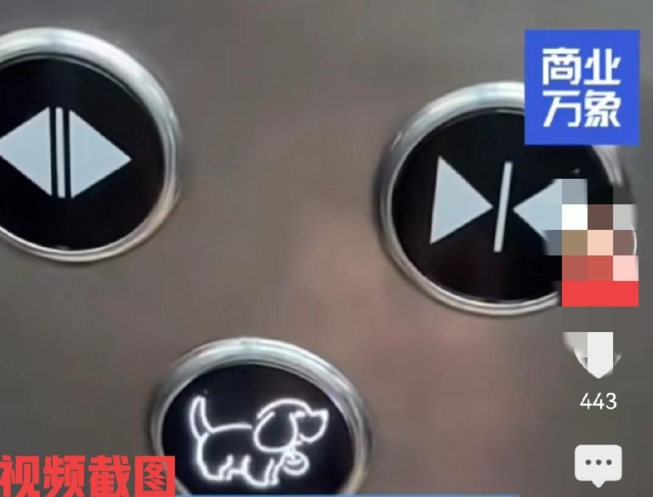 沈阳一小区电梯现有“小狗按键”。

如此贴心的设计，众人都说想出来的人绝对是商业