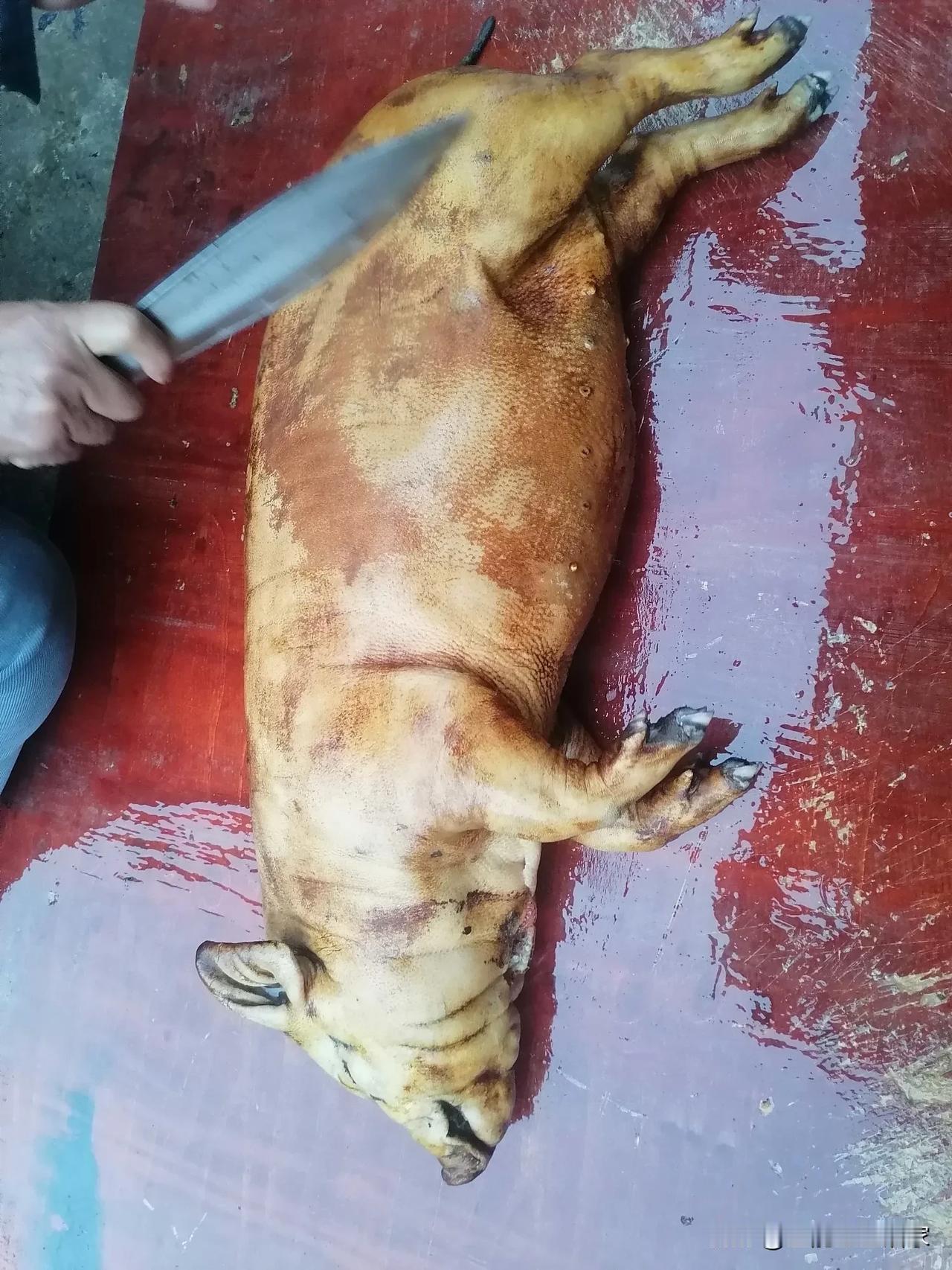过年吃掉一头猪，在某些地方可绝非夸张之辞。就拿云南的杀猪饭来说，猪的各个部位都会