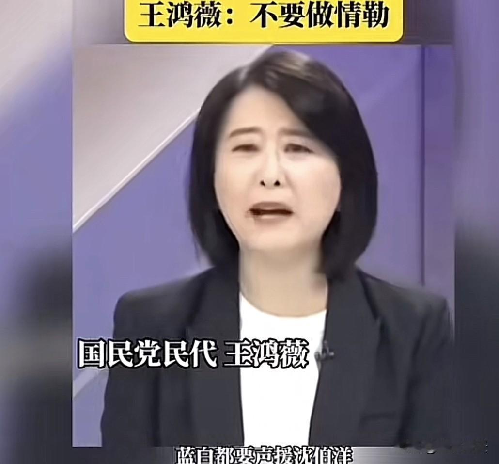 国民党立委王鸿薇在立法院发言时建议民进党当局派警力保护沈伯洋，她说年底市县长选举