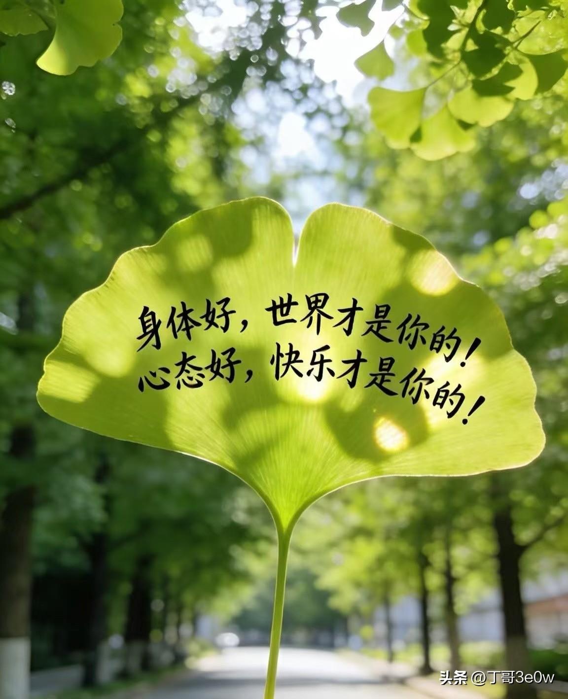【昨日客流】
6月19日（周五）
武汉城市轨道交通线网客运量（含换乘）为344.