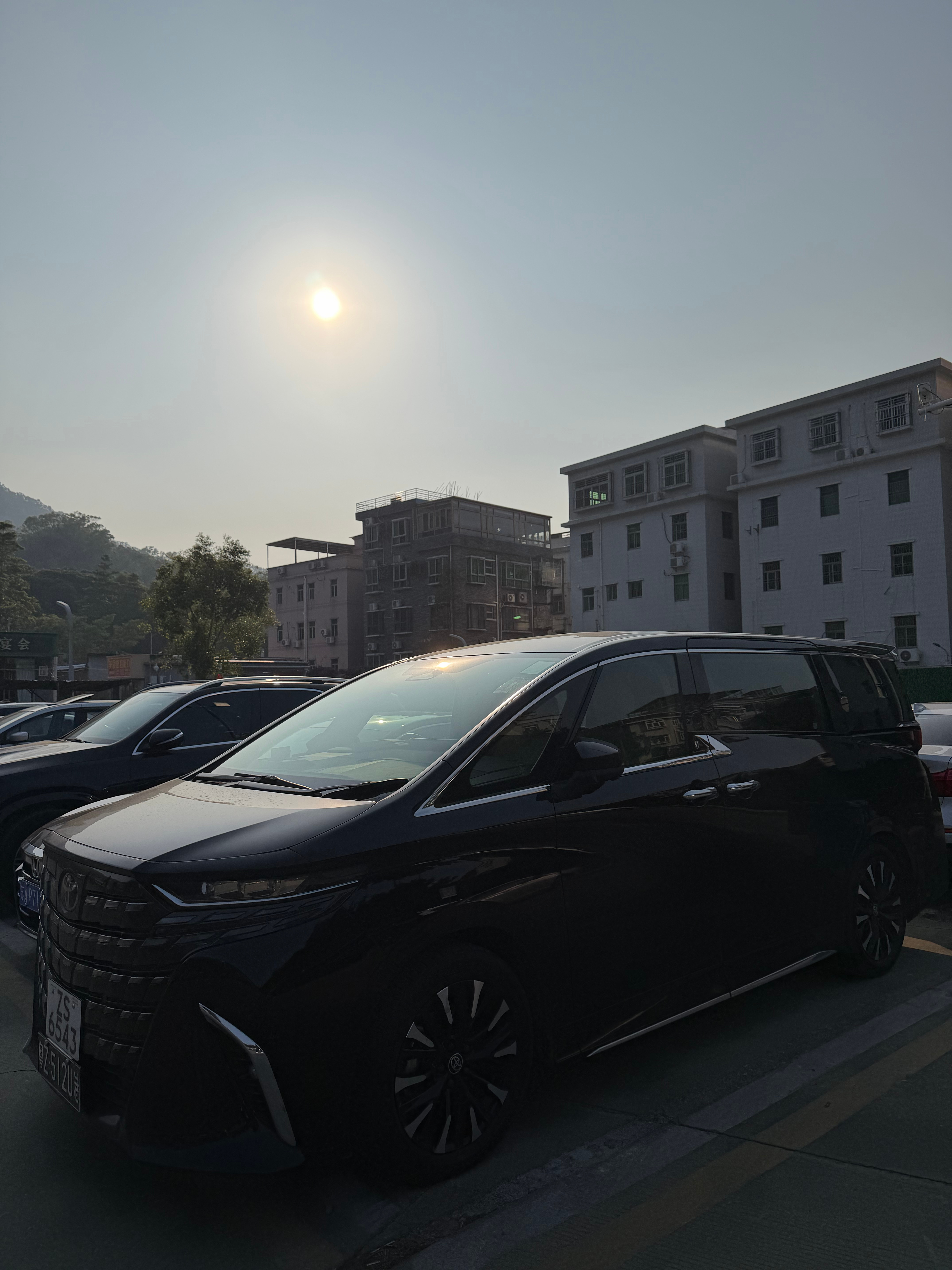 天气真的好的一匹，这个季节的深圳，最容易感冒，早晚温差巨大