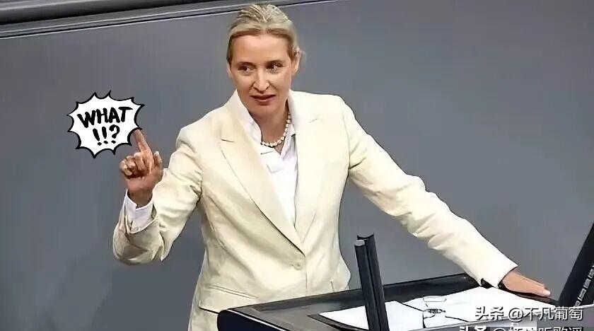 德国选择党联合主席魏德尔表示，欧洲必须承认这样一个现实，如果没有俄罗斯的参与，欧