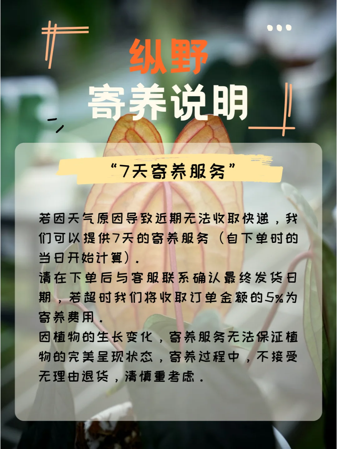纵野寄养说明