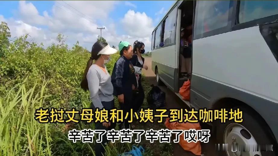 老挝丈母娘和小姨子跨越万水千山，在颠簸了几十个小时的车程后，终于抵达阿彪的咖啡地