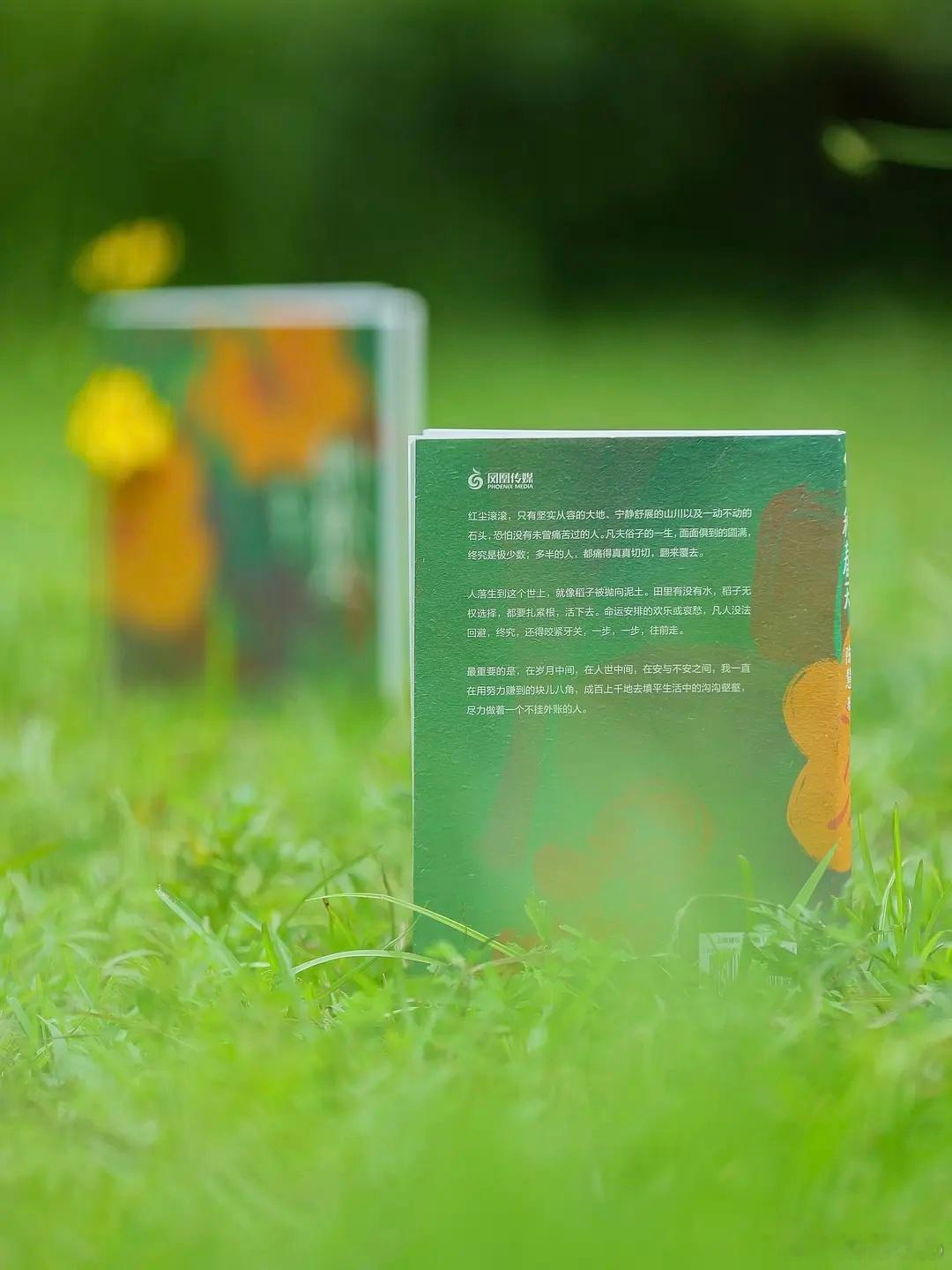 知書club 新书介绍丨《种春天》是陈慧全新非虚构作品集，也是她从菜场现场走向更