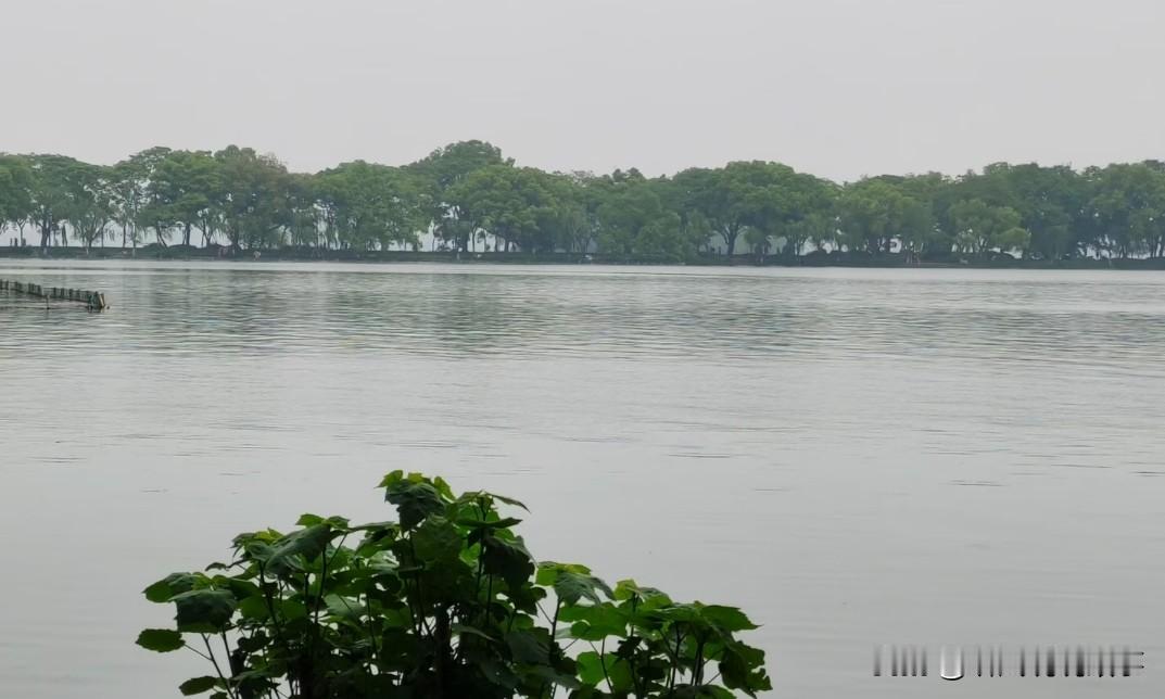 [锦鲤到来]公司要团建啦

公司要团建了，去玩卡丁车烧烤，一年可能也就只有一次团