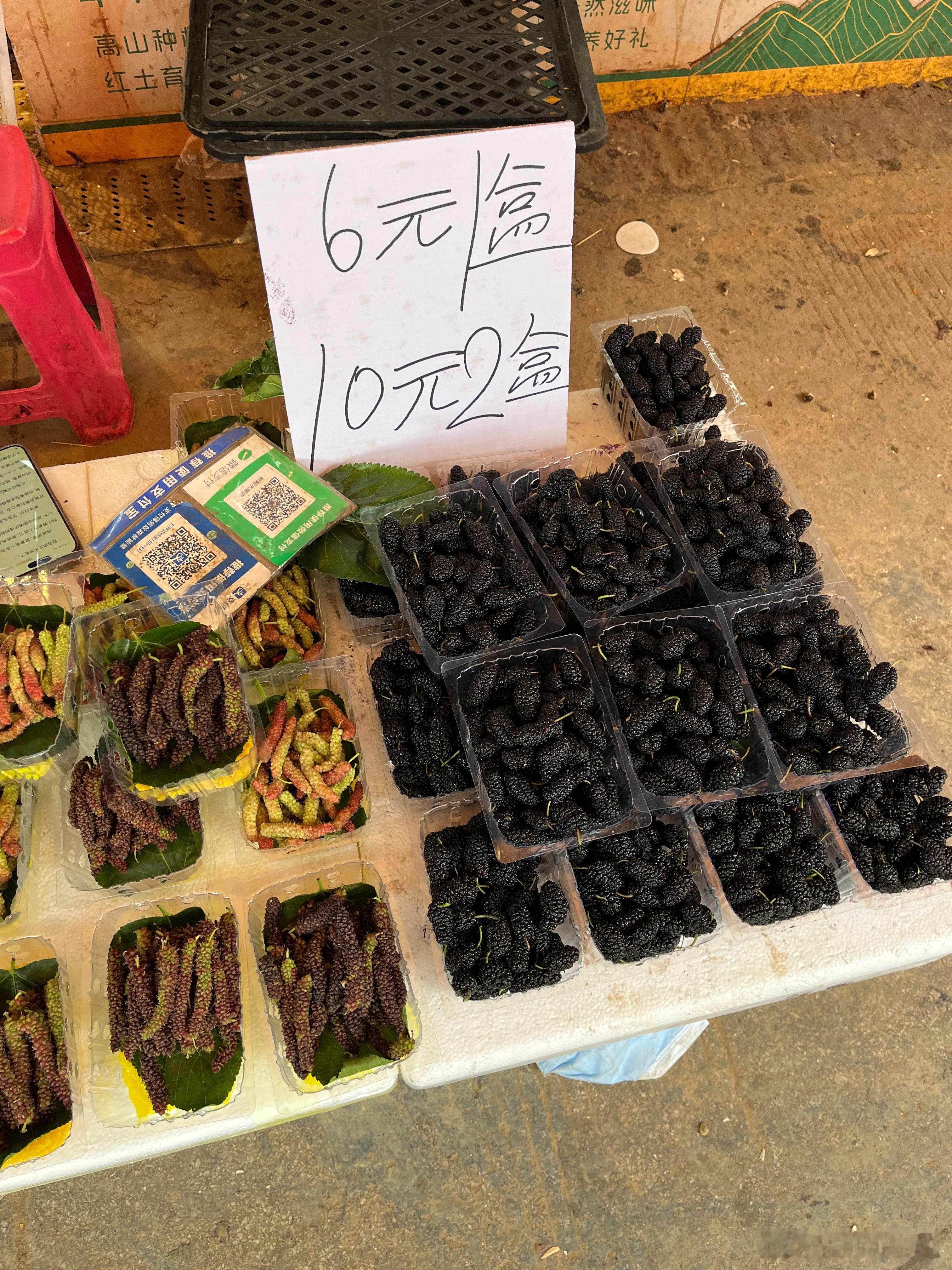 吃上便宜樱桃了[可爱]  ​​​