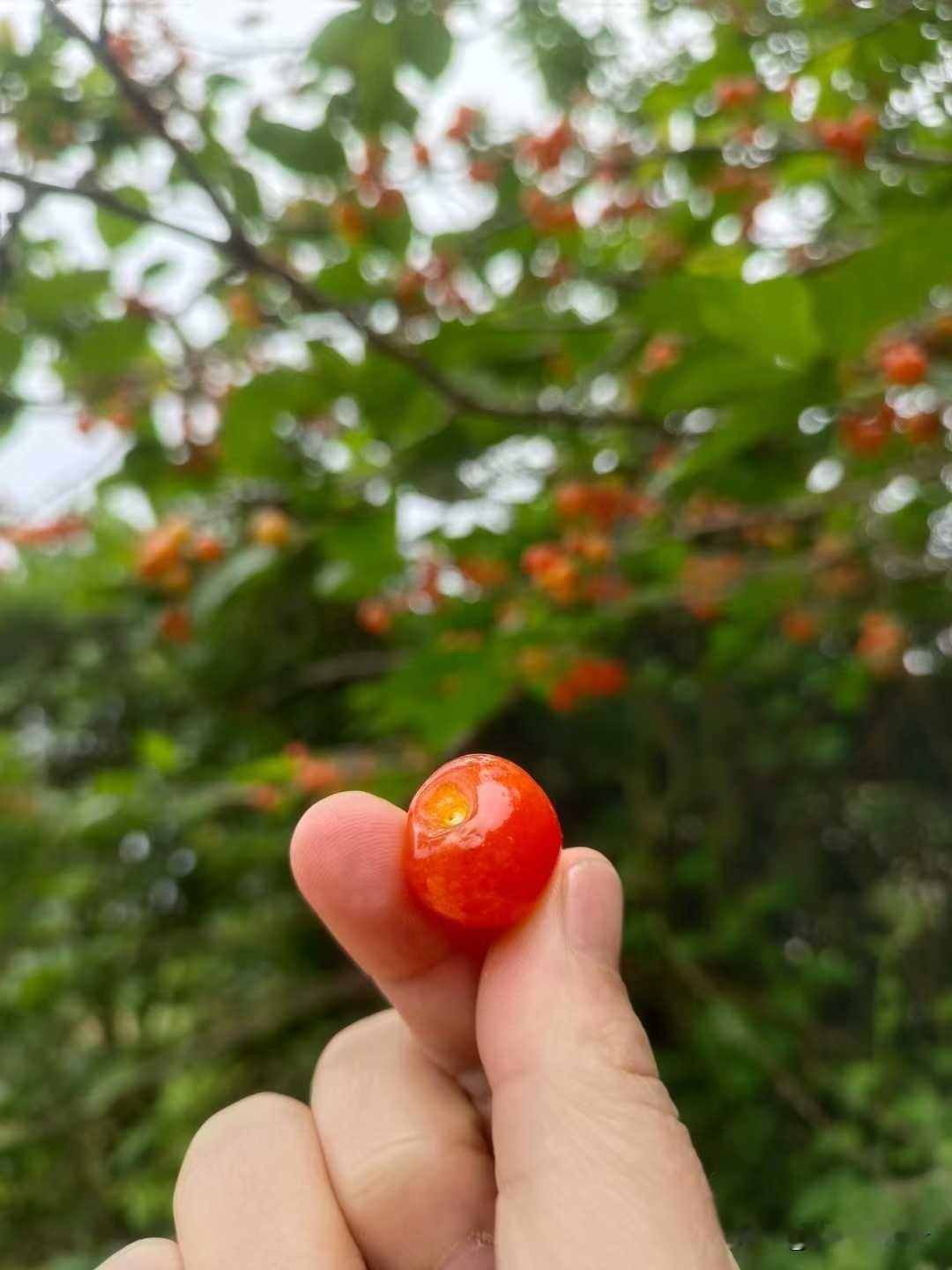 一、逆境是生命的常态，坦然接受方能破局
古希腊哲学家爱比克泰德曾说：