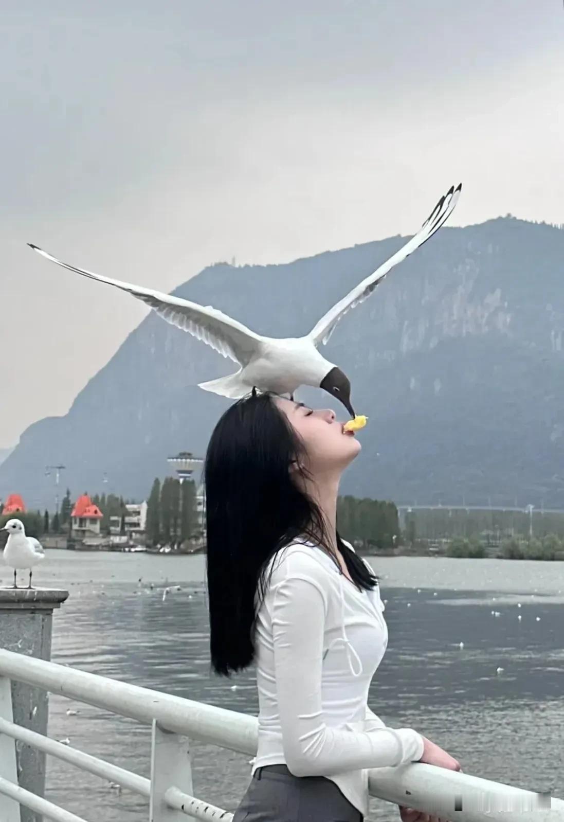 有意思！