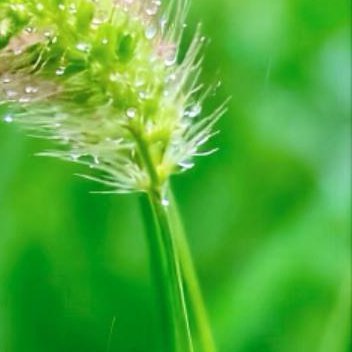 正能量学会接纳生命的每一天，无论好坏，无关悲喜，认真生活的人，总能在平凡的日子里