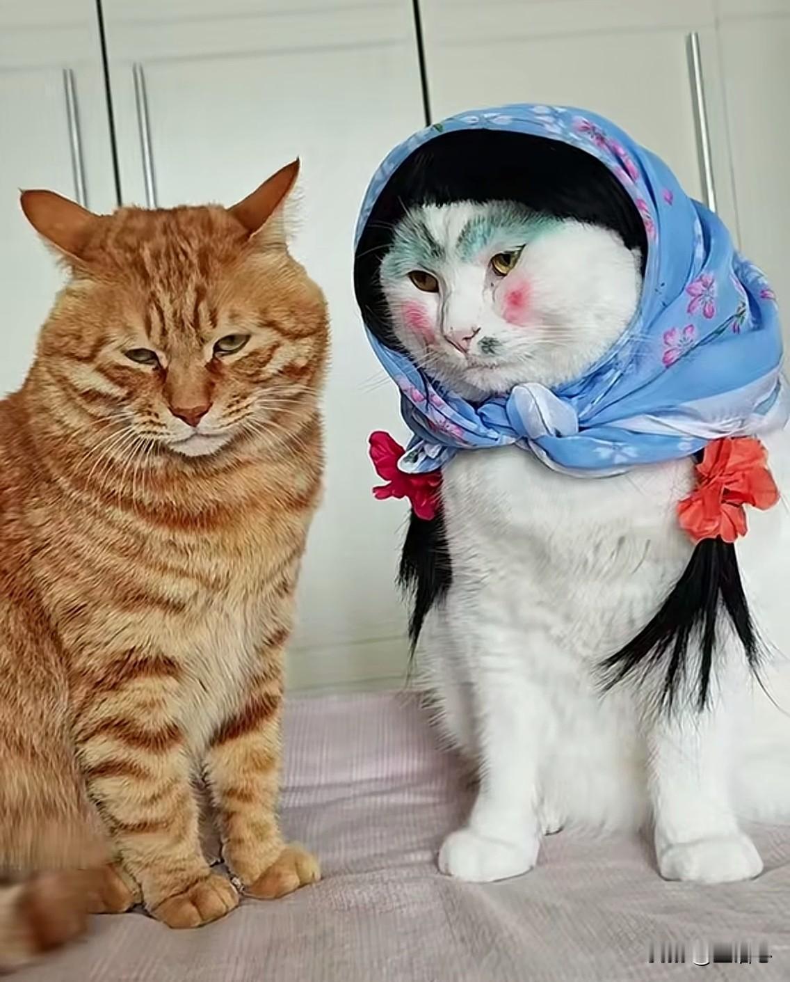 看着这么多姐妹在头条寻良缘，我真心想搭把手！
今天在这里郑重承诺：
所有离婚、丧