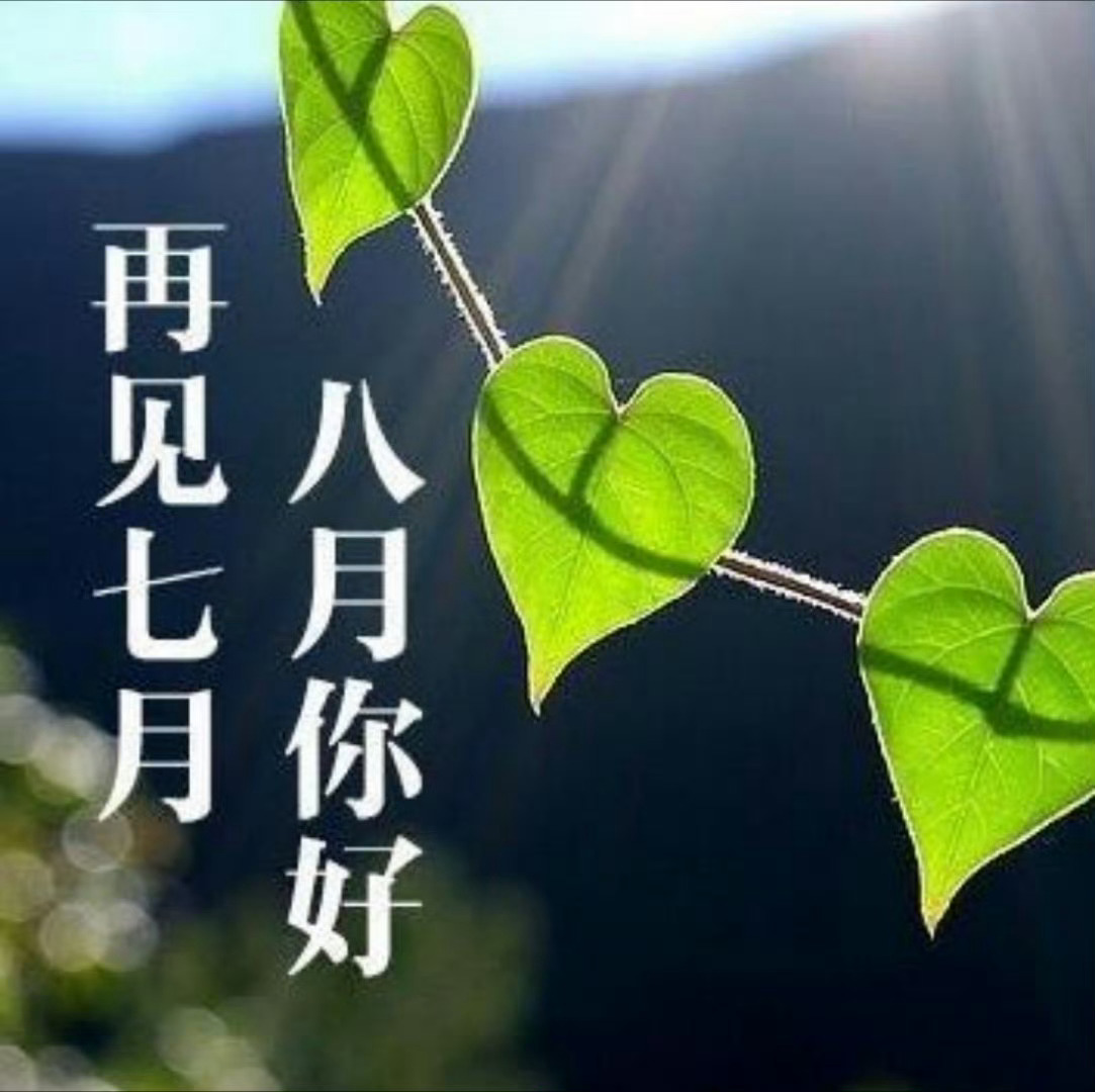 【七月再见，八月你好】周末怎么过？七月结束了，你这个月过得咋样？八月三伏天来了，