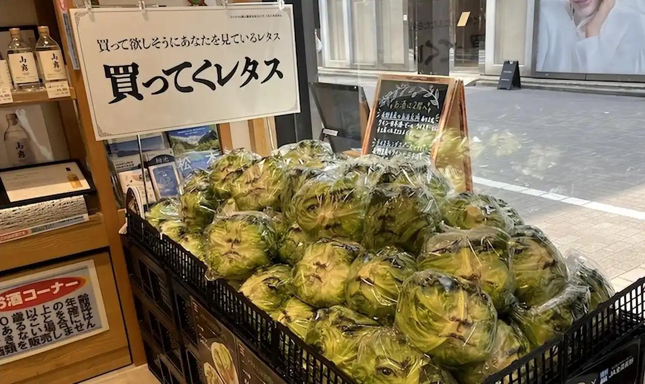 [微风]极端高温催生生鲜变质难题、超六成夏日生菜被浪费，日本企业推出藤原龙也人脸