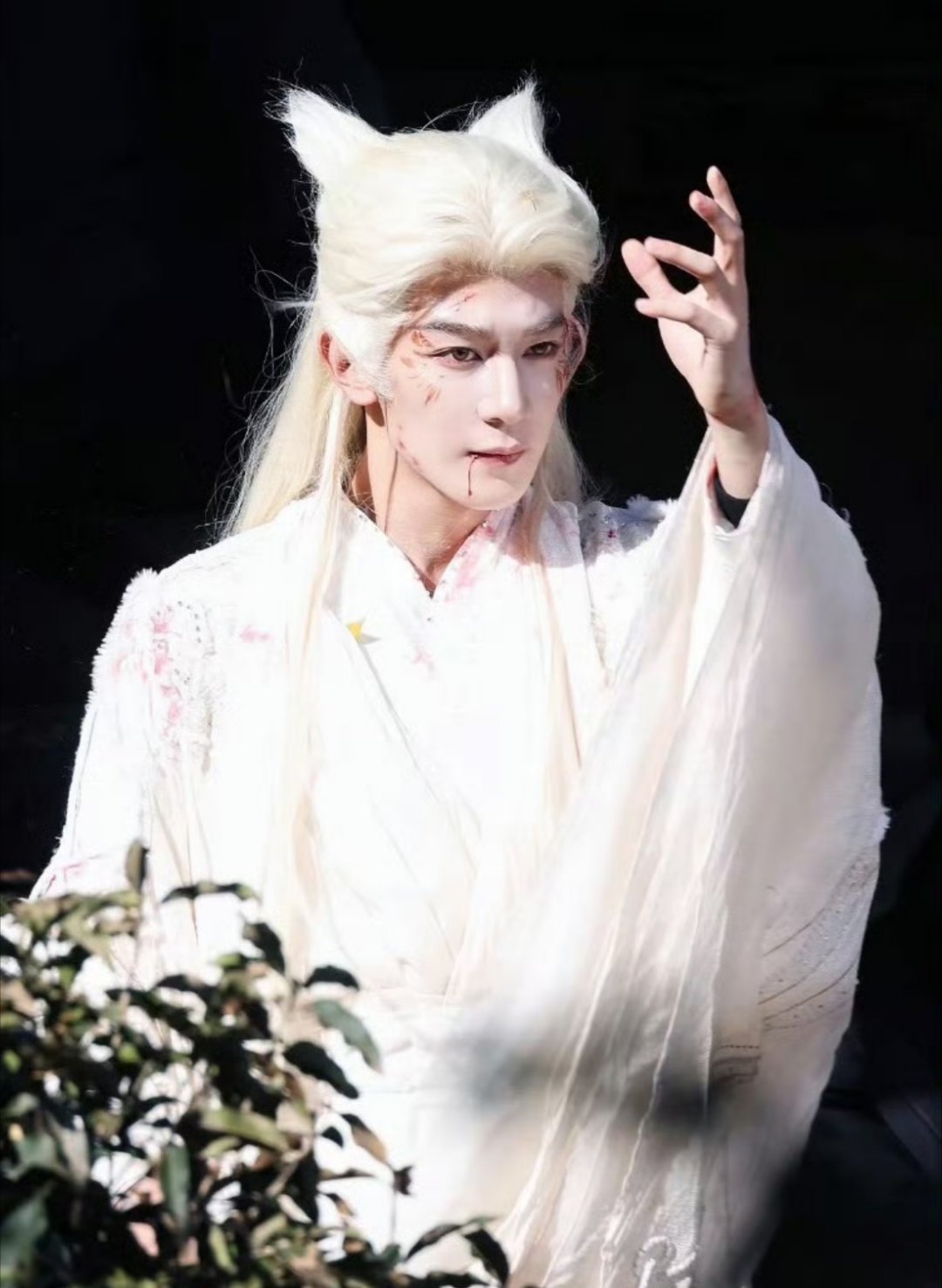 月鳞绮纪没有不看的义务从主演到单元卡司，每个选角都长在审美上！等不及想追月鳞绮纪