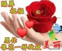 阳光潇洒，韵味悠长，美得恰到好处！💖