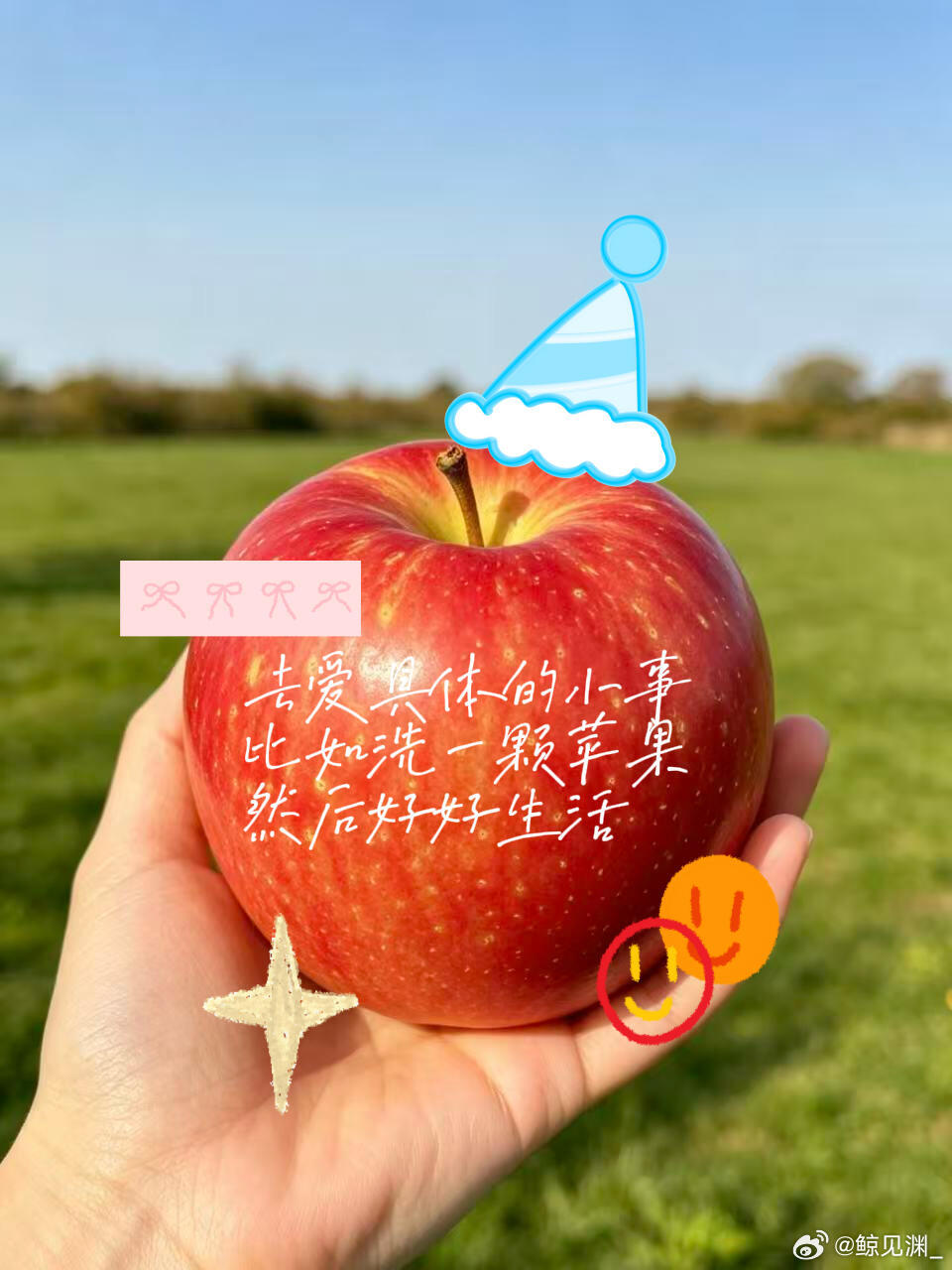 在北方打破了对秋天的认知南北秋天差别真的很大，北方秋日果园里苹果挂满枝，这种丰收