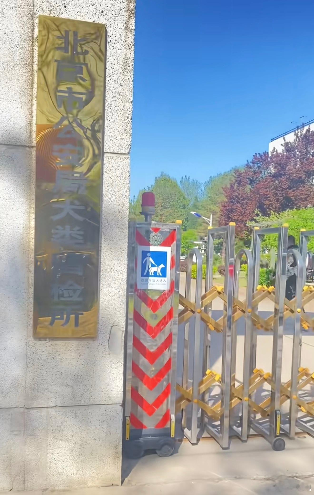 原来狗子也有拘留所！不办狗证，咬人都要被送进去拘留！等主人交罚款办证来取！ 