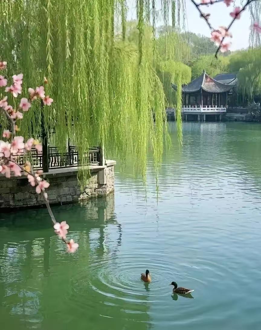 江岸闲趣
一蓑烟雨钓春澜，
半盏清茶静听欢。
独对江波寻逸趣，
莺啼满岸梦犹安。