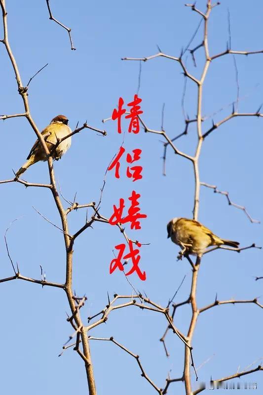 夫妻缘尽的征兆：并非吵架，而是开始“客气”

     大多人认为，夫妻大吵大闹