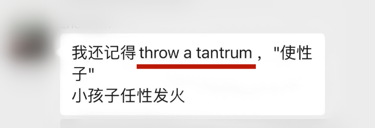 看到群友分享了一个短语挺好——throw a tantrum（耍脾气、使性子），