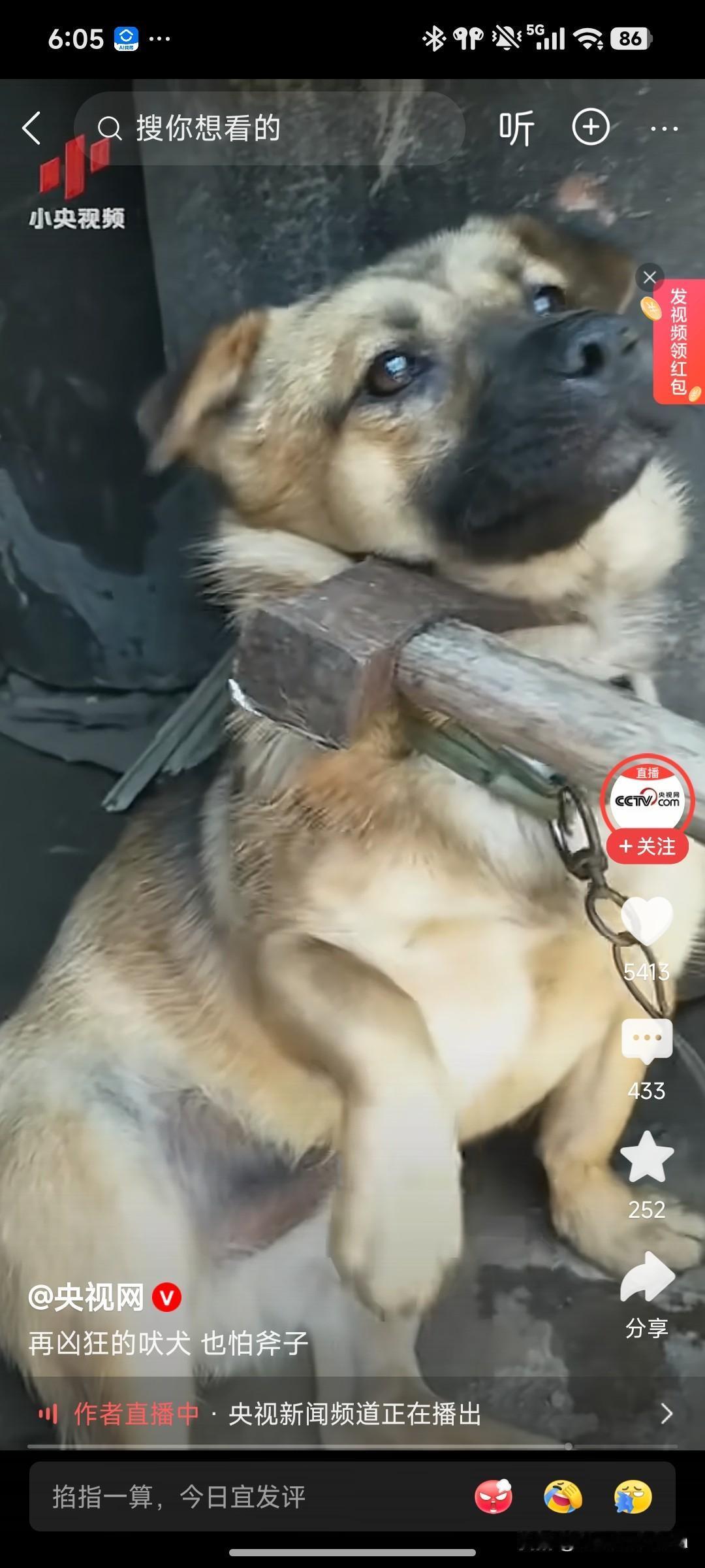 还是央视会发表意见。别看平时叫的凶一旦刀架脖子上眼神比谁都清澈。